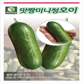 맛짱미니청오이 10립 웰빙생식용 오이씨앗 과장15-18cm 녹색 미니 청오이 종자 다농 영미의정원