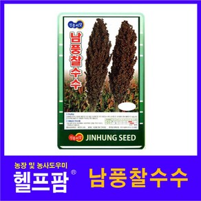 헬프팜 남풍찰수수 30g 종자 수수 씨앗 진흥종묘, 1개