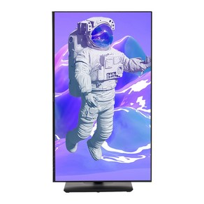 인터픽셀 QHD 평면 75Hz IPS 게이밍 모니터