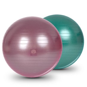 아따산 16P FREE 안티버스트 카르마 짐볼 65cm, 딥그린