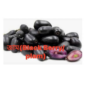 S.N. FOOD FROZEN BLACKBERRY(PLUM)(냉동 블랙베리)방글라데시과일 500G/1통