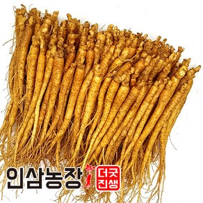 더굿진생 인삼 수삼 금산인삼 원수삼 난발삼 파삼 삼계 350g