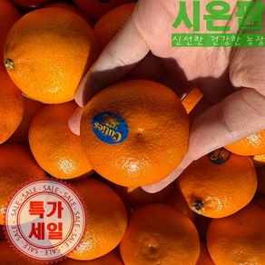 [수입과일] 미국산 프리미엄 고당도 만다린, 1박스, 혼합과 2kg