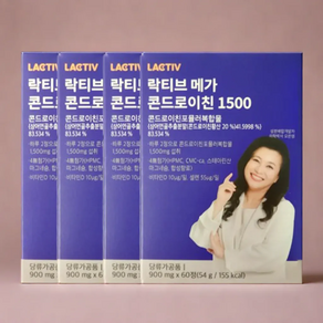 락티브 메가 콘드로이친 1500 영양제 54g