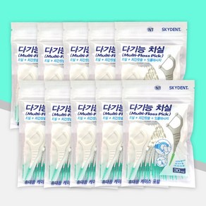 Multi Floss Pick 스카이덴트 다기능 치실 30개입 휴대용 케이스 포함 10개 치간 칫솔