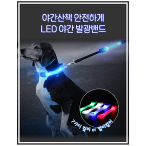 애견 LED 목걸이 강아지 산책야광목걸이, 오렌지, 1개