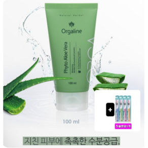 올가라인 파이토 알로에베라, 100ml, 1개