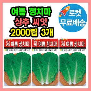 여름청치마 상추 씨앗 (합 6000립) 종자, 3개