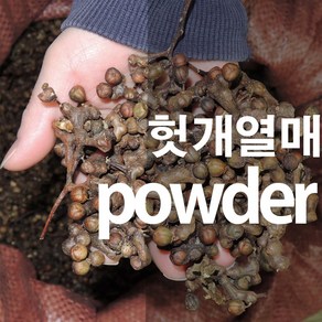 헛개열매가루 지구자 분말, 100g, 1개, 1개입