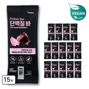 로틀 비건 단백질바 초콜릿 히말라야 핑크 솔트 15개, 50g