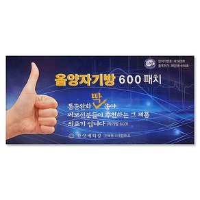 음양자기방600 패치 자석파스 패드 넘버원600자기방 kan*894Xf, 본상품선택, 본상품선택