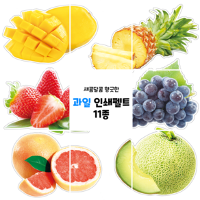 인쇄펠트 [과일] 시장놀이 11종 2set 마트놀이 역할놀이 유아놀이 시니어놀이 교육자료 환경판 펠트인쇄 [채미움놀이창작소], 1개