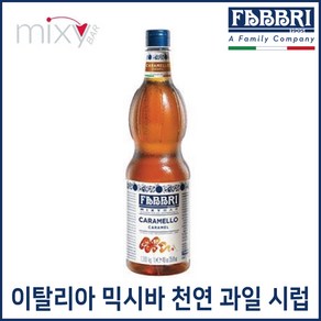 FABBRI 파브리 믹시바 카라멜 시럽 1.3kg, 1개