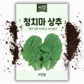 청치마 상추씨앗 (4g)-상추씨, 1개