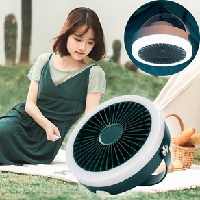 [리모컨 포함] 무선 캠핑 선풍기 순환 써큘레이터 실링팬 핫킬러, 포레스트 그린