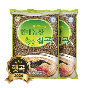 현대농산 2024년 햇곡 국산 검정찰보리 1.6kg (800gx2봉) 흑보리, 2개, 800g