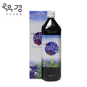 유경식품 대추도라지원액 1100ml, 1개, 1.1L, 1개입, 1.1L