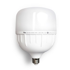 건식 LED 고와트 T램프 보안등 50W E26, 주광색, 1개