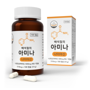 배석철의 아미나 고용량 비타민B3 미국산 나이아신아마이드 500mg, 1개, 100정