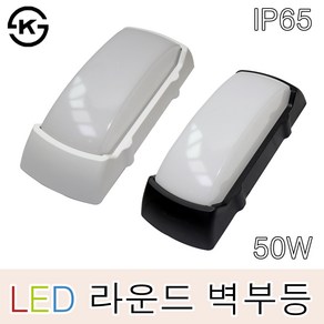 데이온 LED 라운드 방수 벽부등 50W