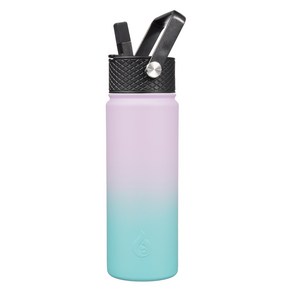 bjpkpk 누수 방지 스테인리스 스틸 보온병 뚜껑 3종 포함, 그라데이션 오아시스, 1개, 650ml