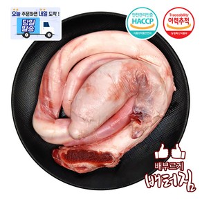 (배터짐) 보신용 한우 우랑 소우신 소생식기, 1.1kg, 1개