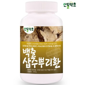 국내산 백출환 300g 삽주뿌리환, 1개