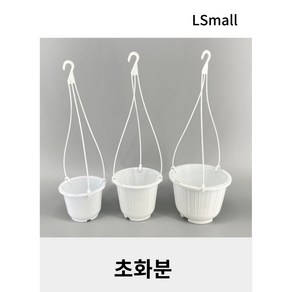 [LS mall] 초화분