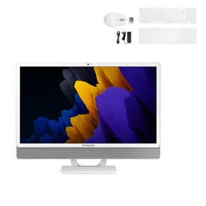 삼성전자 데스크탑 올인원PC WIN 11 + 무선키보드 + 무선마우스 + 키스킨, RAM 8GB + SSD 256GB, DM530ADA-L58A