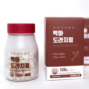 박하 도라지정 환 500mg X 120정