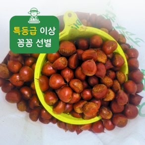 명품 공주 햇밤 특등급 공주밤 국산 햇알밤 맛밤 제수용, 1박스, 8kg