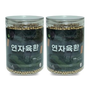 연자육환 연꽃씨앗 고함량 350g, 2개