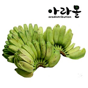 아라몰 그린 사바 바나나 (Geen Saba Banana), 1kg, 1박스