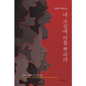 내 소설에 피를 뿌려라:김해수 장편소설, 신아출판사, 김해수