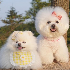 예보들 강아지 고양이 스카프 핸드메이드 턱받이 악세사리, 핑크, 1개