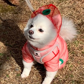 [여름산책필수템] 강아지 해충방지 옷 진드기 방지 옷, 옐로우, S, 1개