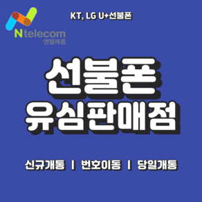 앤텔레콤 선불폰 (KT LG SKT) 연체폰 사용 가능 선불유심 빠른배송 빠른개통, KT선불유심 (KT연체폰사용불가), 1개