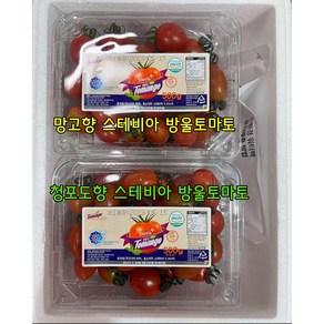 [망고향/청포도향]저당 다이어트용 스테비아 방울토마토, 1박스, 청포도향 스테비아 방울토마토1kg