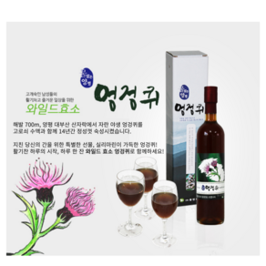 플앤카라 14년 숙성 엉겅퀴 발효 효소 원액 액기스, 2개, 500ml