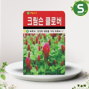 솔림텃밭몰 크림슨클로버씨앗 20g 클로버 크로바 꽃씨앗 종자, 1개