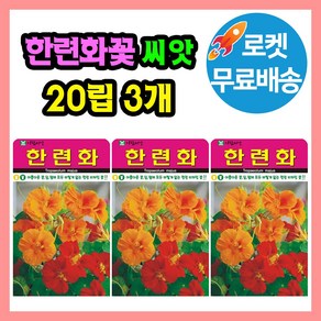 한련화 꽃 씨앗 꽃씨 종자