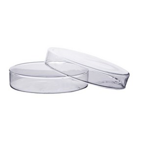 60mm 유리 페트리디쉬 샬레 2개 교과서실험 과학용품