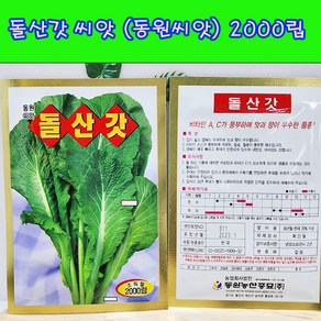 (샤인몰) 돌산갓 씨앗 2000립 1개/동원씨앗/비타민 A C 가 풍부하며 맛과 향이 우수한 품종