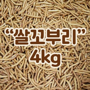 쌀꼬부리 4kg 까불이오란다 오란다만들기 오란다