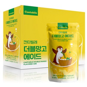 동서웰빙 탄산음료 칸타빌레 에이드 230ml 10포