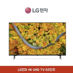 LG전자 65인치 4K UHD TV AI ThinQ 에너지효율 1등급, 스탠드형, 방문설치