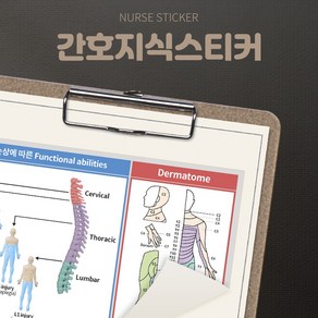 뽀너스 간호지식스티커 (척수손상 해부 spinal cord injury)