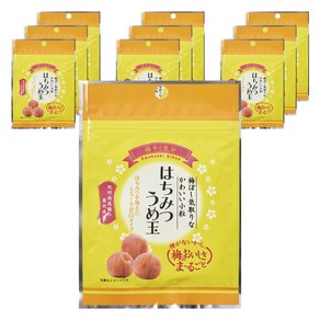 Teramoto 벌꿀 씨없는 매실장아찌 우메보시