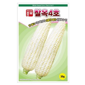 흰찰옥수수(35g)맛좋고 다수확성의 상품성 좋은, 1개