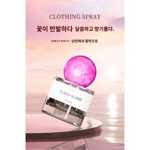 UDCLUB 프렌치 오드퍼퓸(써니 앰버)알랑알랑향수 l YLANG-YLANG향수, 1개, 30ml